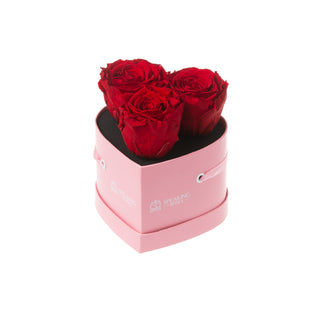 Heart Paper Box (3 Preserved Heads)