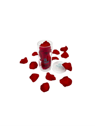 Acrylic Round Box (25 Preserved Petals)