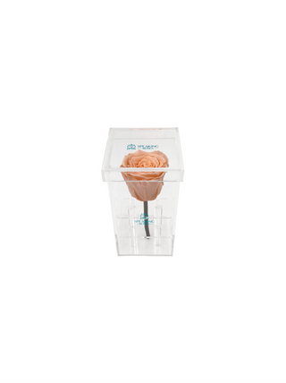 Acrylic Square Box (1 Preserved Rose Stem)