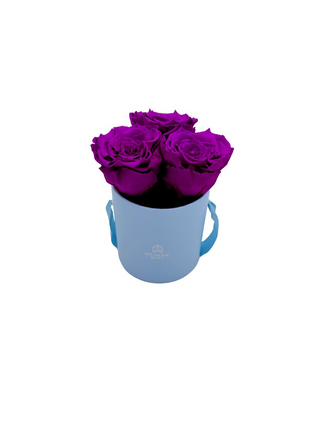 Round Paper Box (3 Preserved Rose Heads)
