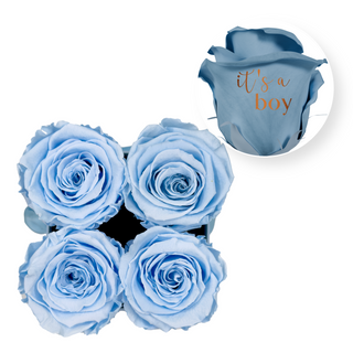 It's a Boy - Square Paper Box (4 Preserved Heads) Speaking Roses