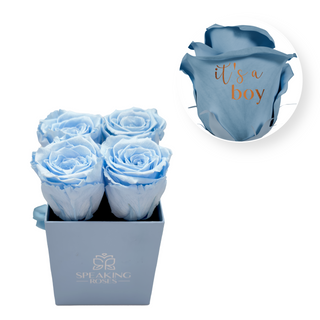 It's a Boy - Square Paper Box (4 Preserved Heads) Speaking Roses