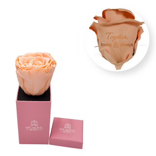 Together, today & always - Square Paper Box  (1 Preserved Head)
