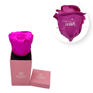 Make a wish - Square Paper Box  (1 Preserved Head)