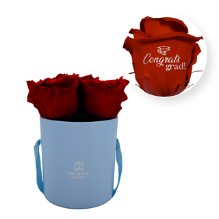 Congrats, Grad! - Round Paper Box (3 Preserved Rose Heads) Speaking Roses