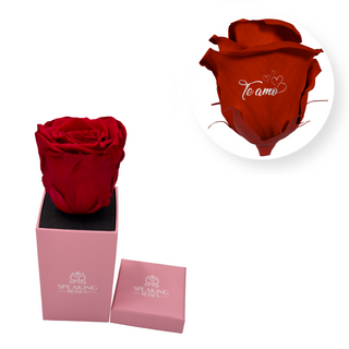 Te amo - Square Paper Box  (1 Preserved Head)