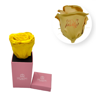 Let´s party! - Square Paper Box  (1 Preserved Head)