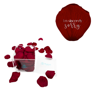 I'm sincerely sorry  - Acrylic Square Box (150 Preserved Petals) Speaking Roses