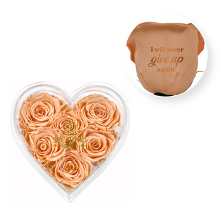 I will never give up again - Heart Acrylic Box  (6 Preserved Stems)
