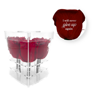 I will never give up again - Heart Acrylic Box  (6 Preserved Stems)