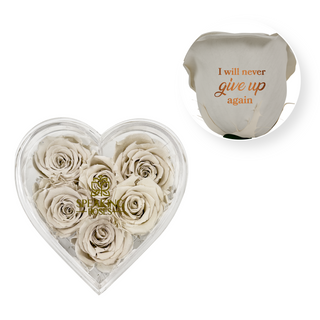 I will never give up again - Heart Acrylic Box  (6 Preserved Stems)